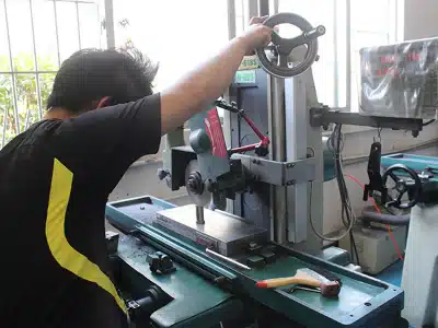 mold plant