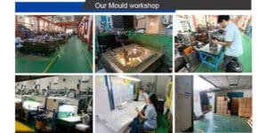 mold plant